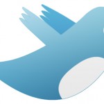 blue-bird